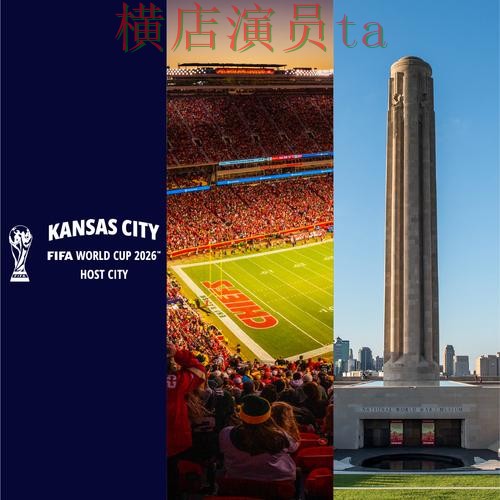 World Cup 2026背景下的世界杯竞猜网站深度评测与数据分析